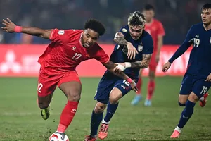 Nhập tịch cầu thủ ở Đông Nam Á và quan điểm của Việt Nam