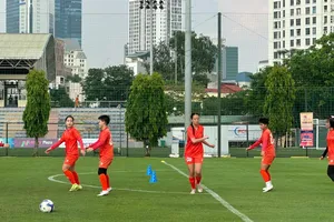 Bóng đá Việt Nam và Malaysia bổ sung ngoại binh nhập tịch cho giải châu Á