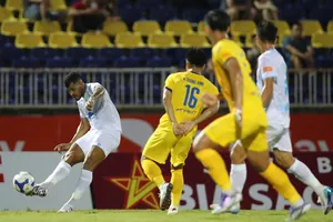 Đương kim vô địch giải mã hiện tượng Ninh Bình