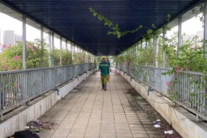 cầu vượt bộ hành