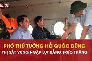 Phó Thủ tướng, Hồ Quốc Dũng, thị sát, vùng ngập lụt, trực thăng