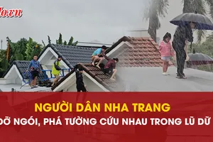 Nha Trang, leo lên mái nhà, cứu hàng xóm