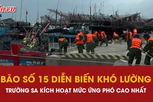 đặc khu Trường Sa, bão số 15, ứng phó bão