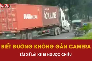 xe container, đi ngược chiều, tài xế