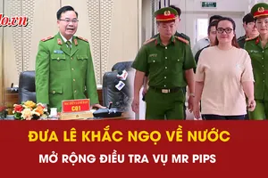 Hoàng Hường, hàng giả, buôn lậu