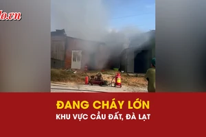 Đang cháy ở khu vực Cầu Đất, phường Xuân Trường, TP Đà Lạt