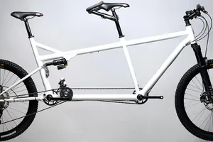 Xe đạp đôi tùy chỉnh ấn tượng với giá gần 194 triệu đồng