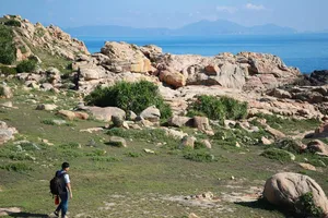 Vi vu trải nghiệm Cù lao Mái Nhà ở Phú Yên