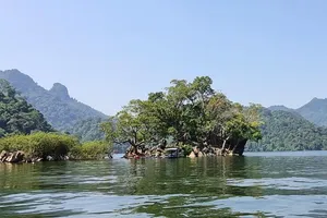 Vườn quốc gia Ba Bể: Viên ngọc lục bảo của núi rừng Đông Bắc