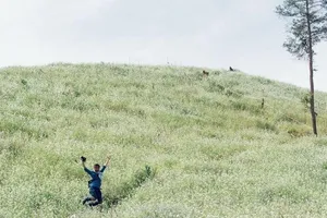 Đắm say mùa hoa cải trắng Mộc Châu