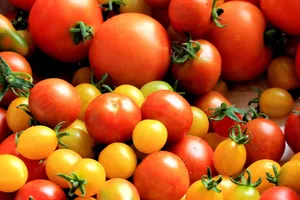 Những lợi ích tuyệt vời khi ăn cà chua mà bạn nên biết