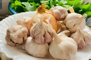 Ăn tỏi mang lại nhiều lợi ích cho sức khỏe