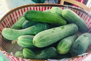 10 loại thực phẩm giúp cung cấp nước cho cơ thể tốt nhất