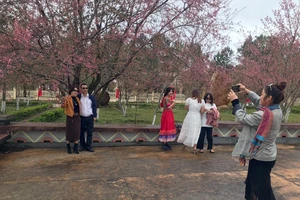 Măng Đen, điểm khám phá đơn sơ nhưng cuốn hút