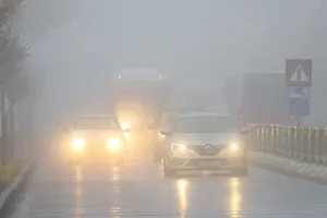 Cách sử dụng đèn sương mù an toàn trong thời tiết xấu