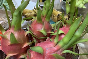 5 sai lầm phổ biến cần tránh khi ăn trái cây