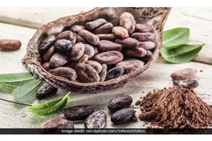 Uống ca cao hàng ngày, chuyện gì xảy ra?