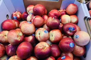 8 thực phẩm giúp tăng cường khả năng miễn dịch 