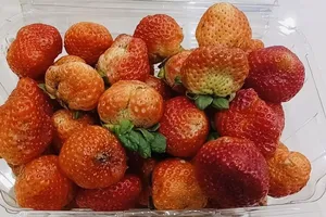 Loại trái cây giúp giảm đau đầu gối hỗ trợ cho giới mê chạy bộ