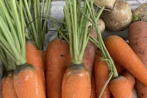 Ăn cà rốt mỗi ngày, chuyện gì xảy ra với sức khỏe?