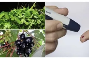 Những thực phẩm không làm tăng lượng đường trong máu