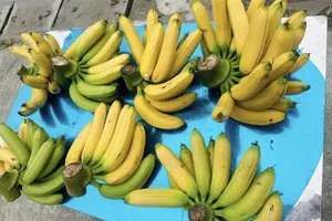 5 thực phẩm nên ăn hàng ngày để hệ tiêu hóa luôn khỏe mạnh