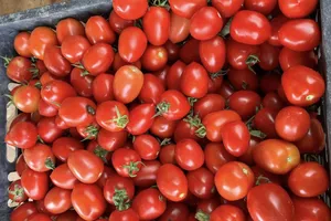 Ăn những siêu thực phẩm này sẽ giúp làm chậm lão hóa sau tuổi 40