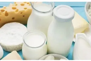 Các sản phẩm sữa nên ăn và tránh để bảo vệ sức khỏe tim mạch