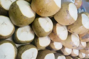 Uống nước dừa mỗi ngày, chuyện gì xảy ra cho cơ thể?