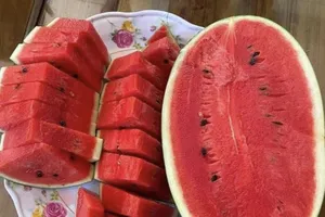 Một số siêu thực phẩm mùa hè nên bổ sung vào chế độ ăn uống của bạn