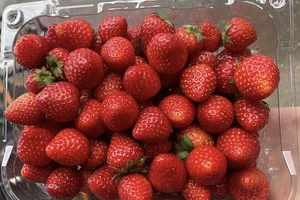 Những thực phẩm có thể giúp bạn mát mẻ và đủ nước trong các ngày nắng nóng