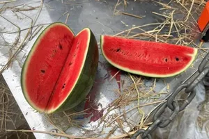 10 đồ uống lành mạnh giúp cấp nước cho cơ thể trong mùa nóng