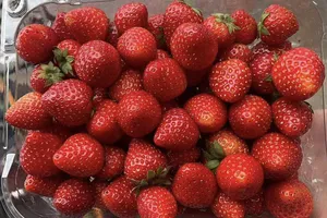 Bổ sung 9 loại thực phẩm này vào chế độ ăn uống để bảo vệ da khỏi bị cháy nắng