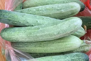 Ăn dưa chuột mỗi ngày vào mùa hè để hưởng những lợi ích tuyệt vời này