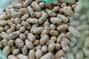 Một số loại thực phẩm giàu protein để tiêu thụ khi nhịn ăn gián đoạn chay