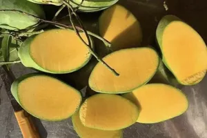 4 mẹo xác định hóa chất trong xoài