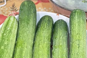 Kiểm soát bệnh đường ruột trong mùa hè bằng cách ăn những thực phẩm này