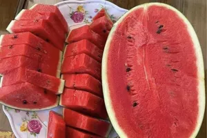 Ăn dưa hấu thường xuyên trong mùa nóng, chuyện gì xảy ra với sức khỏe?
