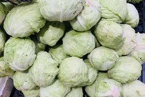 10 lợi ích của việc uống nước ép bắp cải