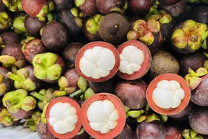 Lợi ích sức khỏe bất ngờ của quả măng cụt