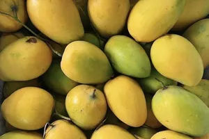 8 lợi ích tuyệt vời khi ăn xoài vào mùa hè