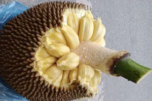 Ăn mít có lợi cho mắt chúng ta như thế nào?