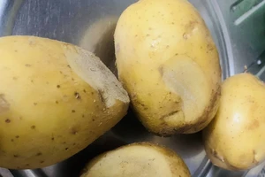 Ăn khoai tây luộc và nướng, kiểu nào tốt cho sức khỏe?