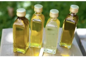 Những loại dầu ăn tốt nhất cho sức khỏe