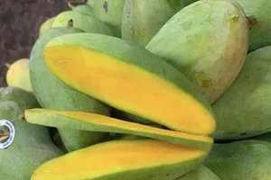 Bất ngờ với lợi ích của hạt trái xoài sau khi nghiền thành bột