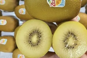 Ăn nhiều Kiwi để chống sốt xuất huyết trong mùa mưa