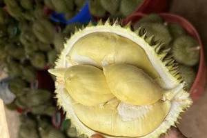 Lợi ích cho sức khỏe khi ăn sầu riêng 