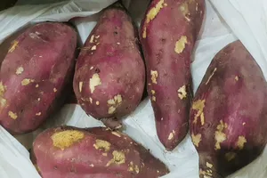 Ăn khoai lang luộc có tốt cho sức khỏe?