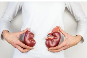 Thực hiện những thay đổi này để cải thiện sức khỏe thận của bạn