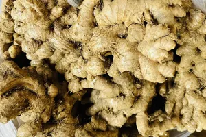 Điều gì xảy ra khi bạn ăn quá nhiều gừng?